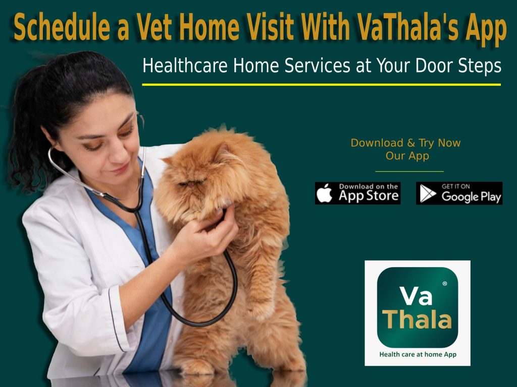 Veterinary Doctor Home Visit